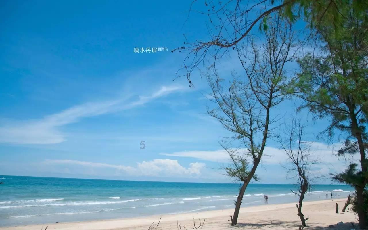 少吃糖、防近视!最新研究揭示巩膜糖酵解激活导致近视形成的分子机制